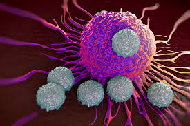 ¿Cuál es la influencia microambiente tumoral en la resistencia al tratamiento del cáncer?